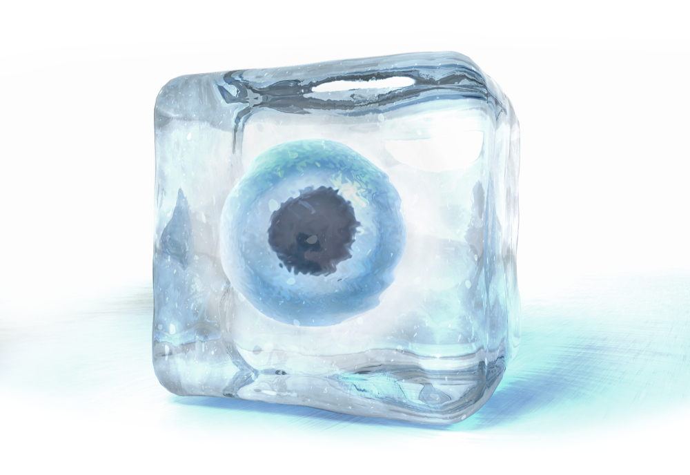 frozen illustration